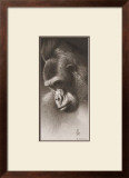 Buy Silver Back, the Gorilla at AllPosters.com