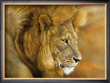 Lion du Serengeti