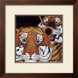 Buy Sun Tigers at AllPosters.com