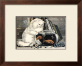 Persian Cat and Gold Fish