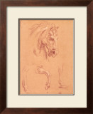 Buy Horse Head at AllPosters.com