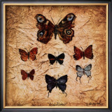 Buy Papillons II at AllPosters.com