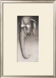 Buy Toni, the Elephant at AllPosters.com