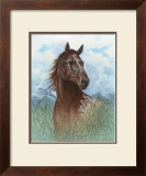 Appaloosa Portrait