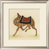 Buy Camel from India I at AllPosters.com