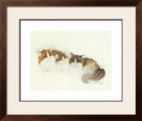 Buy Katzen at AllPosters.com