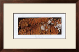 Buy Three Ages of Tigers at AllPosters.com