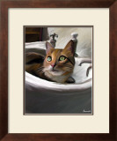 Orange Cat in the Sink