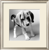 Buy Georgia at AllPosters.com