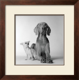 Buy Max and Roxie at AllPosters.com