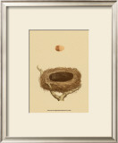 Buy Antique Nest and Egg III at AllPosters.com