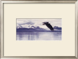 Buy Silent Quest at AllPosters.com