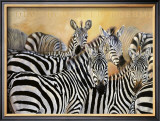 Buy Punda Milia at AllPosters.com