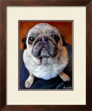 Pug on a Rug