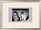 Toy Poodle Kisses Elvis
