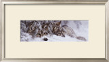 Buy Quiet Time at AllPosters.com