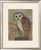 Ornate Owl II