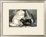 Persian Cat and Gold Fish