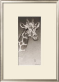 Buy Jean, the Giraffe at AllPosters.com