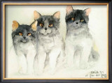 Buy Katzen at AllPosters.com