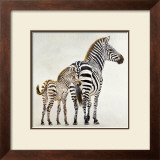 Buy Zebre et Son Petit de Ndutu at AllPosters.com