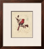 Filigree Cardinal