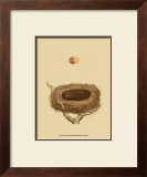 Buy Antique Nest and Egg III at AllPosters.com
