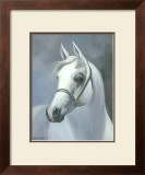 Buy Palomino at AllPosters.com