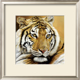 Buy Portrait d'Aliba at AllPosters.com