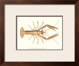 Buy Antique Lobster I at AllPosters.com