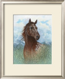 Appaloosa Portrait