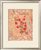 Buy Butterflies and Blossoms III at AllPosters.com