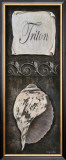 Triton