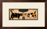 Two Cats