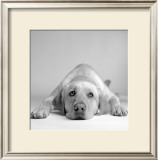 Buy Tally at AllPosters.com