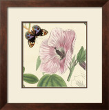 Buy Hibiscus at AllPosters.com