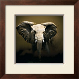 Buy On Safari at AllPosters.com