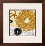 Tidepool Dreams I