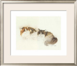 Buy Katzen at AllPosters.com