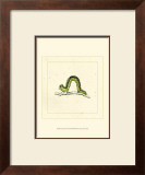 Green Inchworm