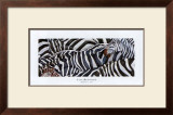Buy Zebras's Sea at AllPosters.com