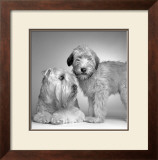 Buy Ruff and Daisy at AllPosters.com