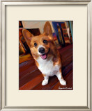 Corgi Get Low