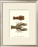 Buy Antique Lobster III at AllPosters.com