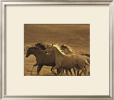 Buy Like the Wind II at AllPosters.com