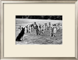 Police Dogs on Parade