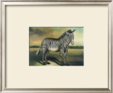 Buy Zebra at AllPosters.com