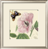Buy Hibiscus at AllPosters.com