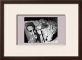 Toy Poodle Kisses Elvis