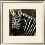 Buy Zebra Portrait at AllPosters.com
